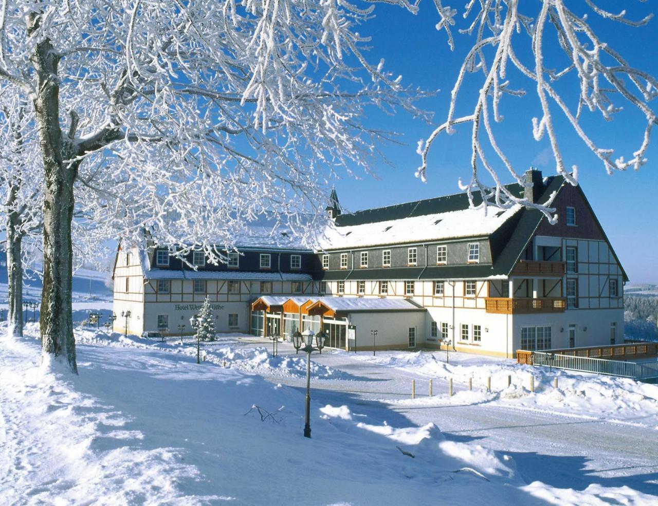 Panorama Berghotel Wettiner Hoehe Seiffen Buitenkant foto